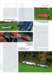 coupes6_small.jpg