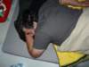 automedondimanche11_small.jpg
