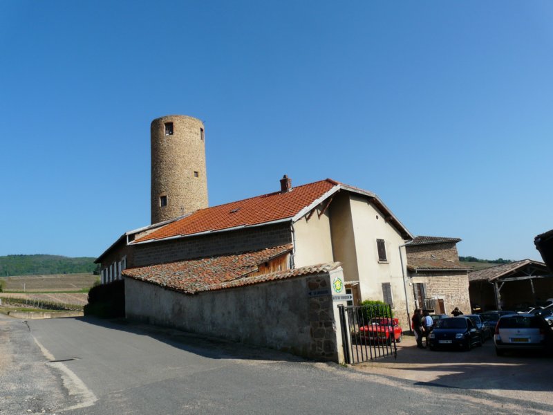 p1090844.jpg
