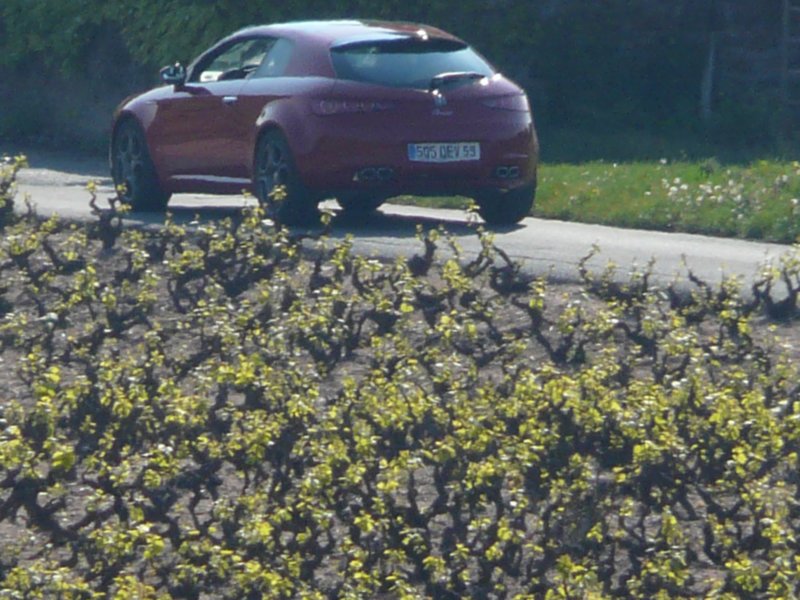 p1090854.jpg
