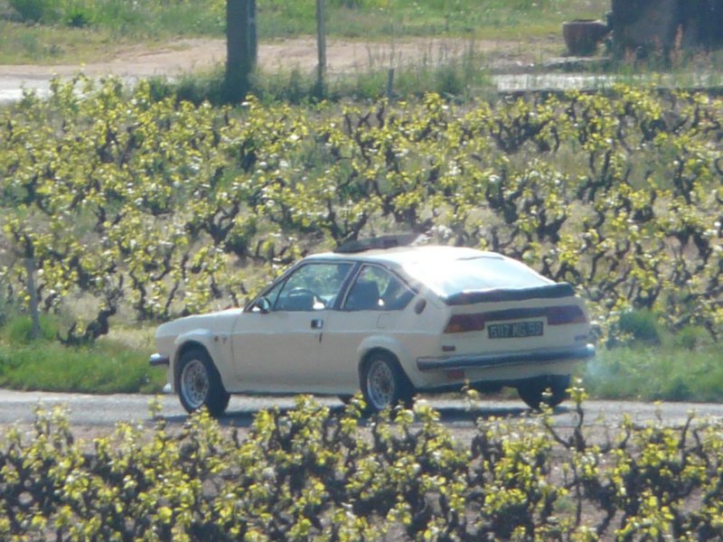 p1090867.jpg