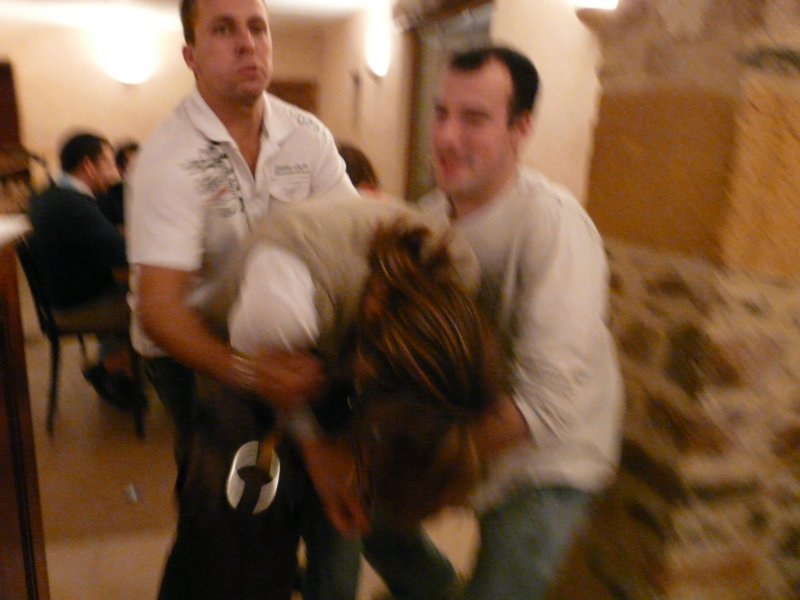 p11002222.jpg